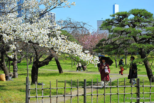 Hamarikyu, de Villa del Shogun a Parque