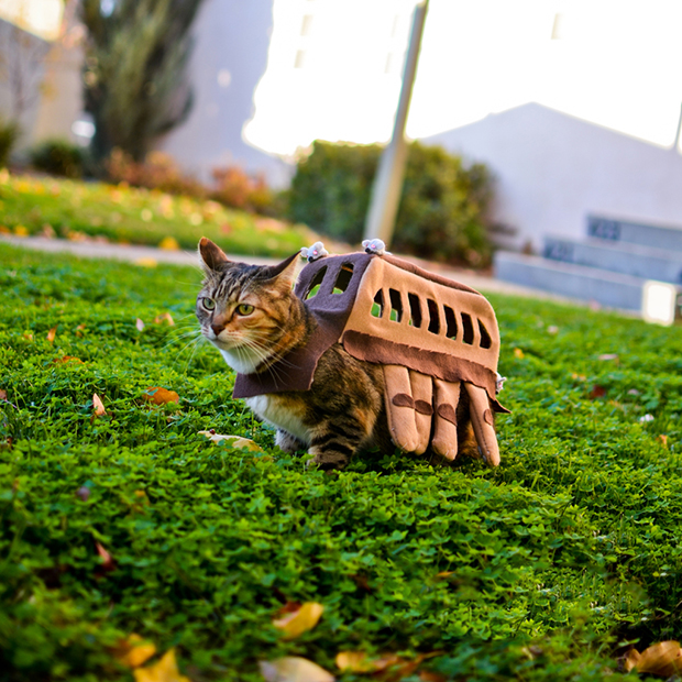 “Nekobasu”, el “Gato Bus” de Totoro…Visto en un jardín!!