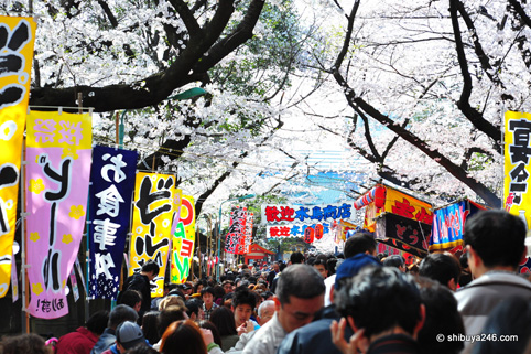 Disfrutando del Hanami en Ueno