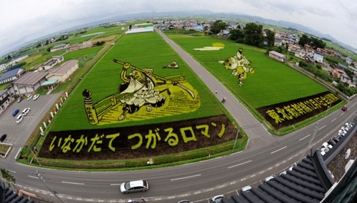 Arte en los Arrozales 2010