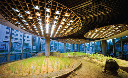 Hello Korea!: Una granja dentro de un Centro Comercial