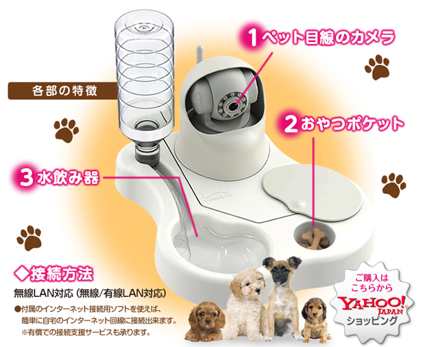 Nuevo invento japonés; Comederos de mascotas con Web Cams