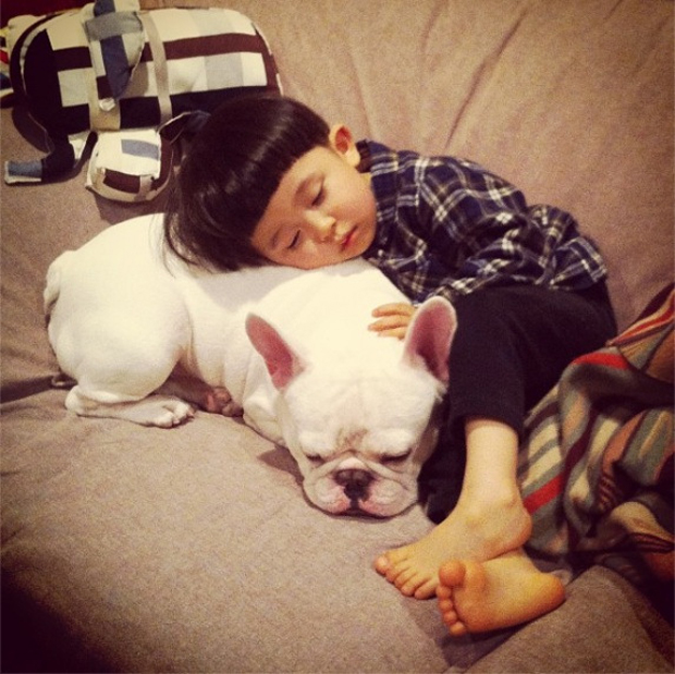 Especial lo más leido en la historia de JaponPop.com: Este niño japonés y su perro, arrasan en el mundo