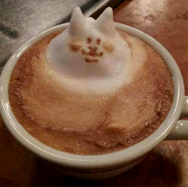 Arte-Latte-3D-japonshop07