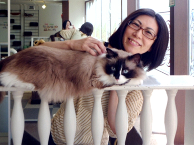 Nace un nuevo Servicio en Japón; Niñeras para mascotas