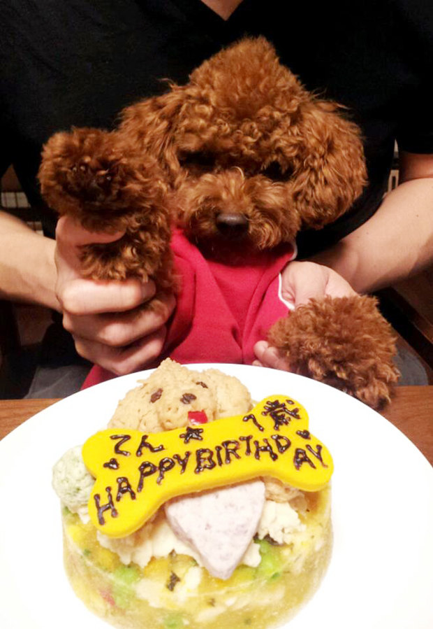 Nueva moda en Japón: Tartas personalizadas para perros