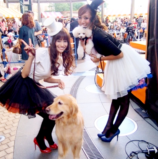 Fiesta Hallowen para mascotas en Roppongi Hills