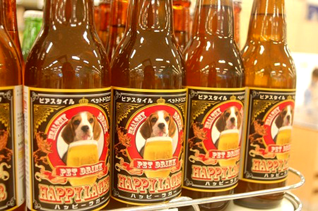 De cerveza para perros, a vino para gatos