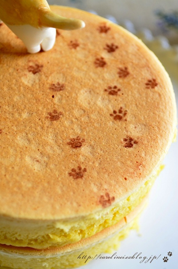 mochi-gatos.japon-japonshop0018