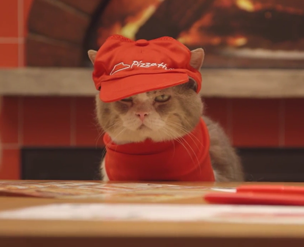 Los nuevos empleados felinos de “Pizza Hut” Japón (Vídeos)