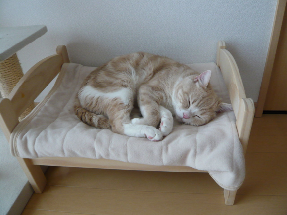 Las camas para gatos de IKEA Japan